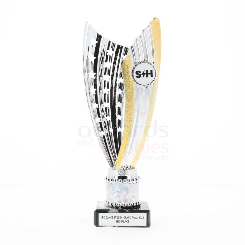 Zanzi Cup Silver/Gold 240mm