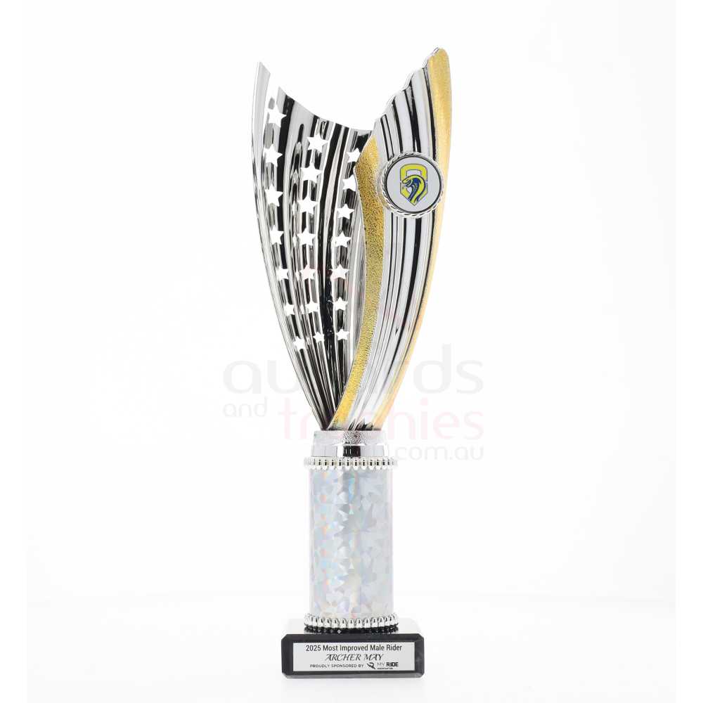 Zanzi Cup Silver/Gold 290mm