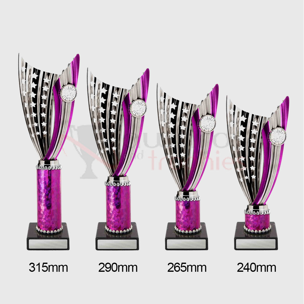 Zanzi Cup Silver/Pink 290mm