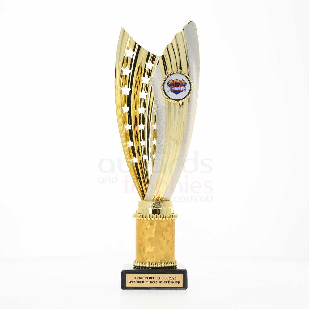 Zanzi Cup Gold/Silver 265mm