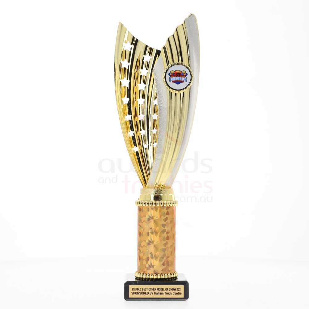 Zanzi Cup Gold/Silver 290mm