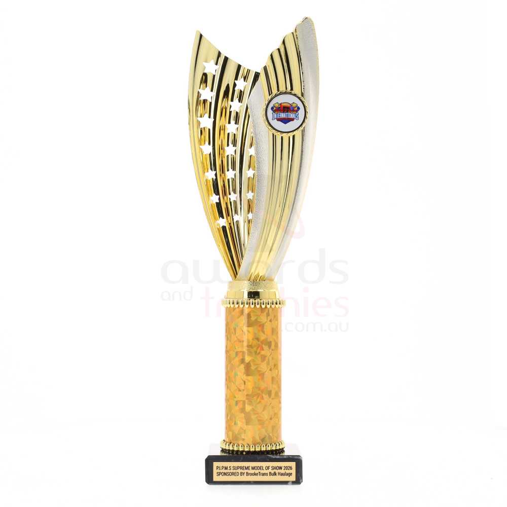 Zanzi Cup Gold/Silver 315mm