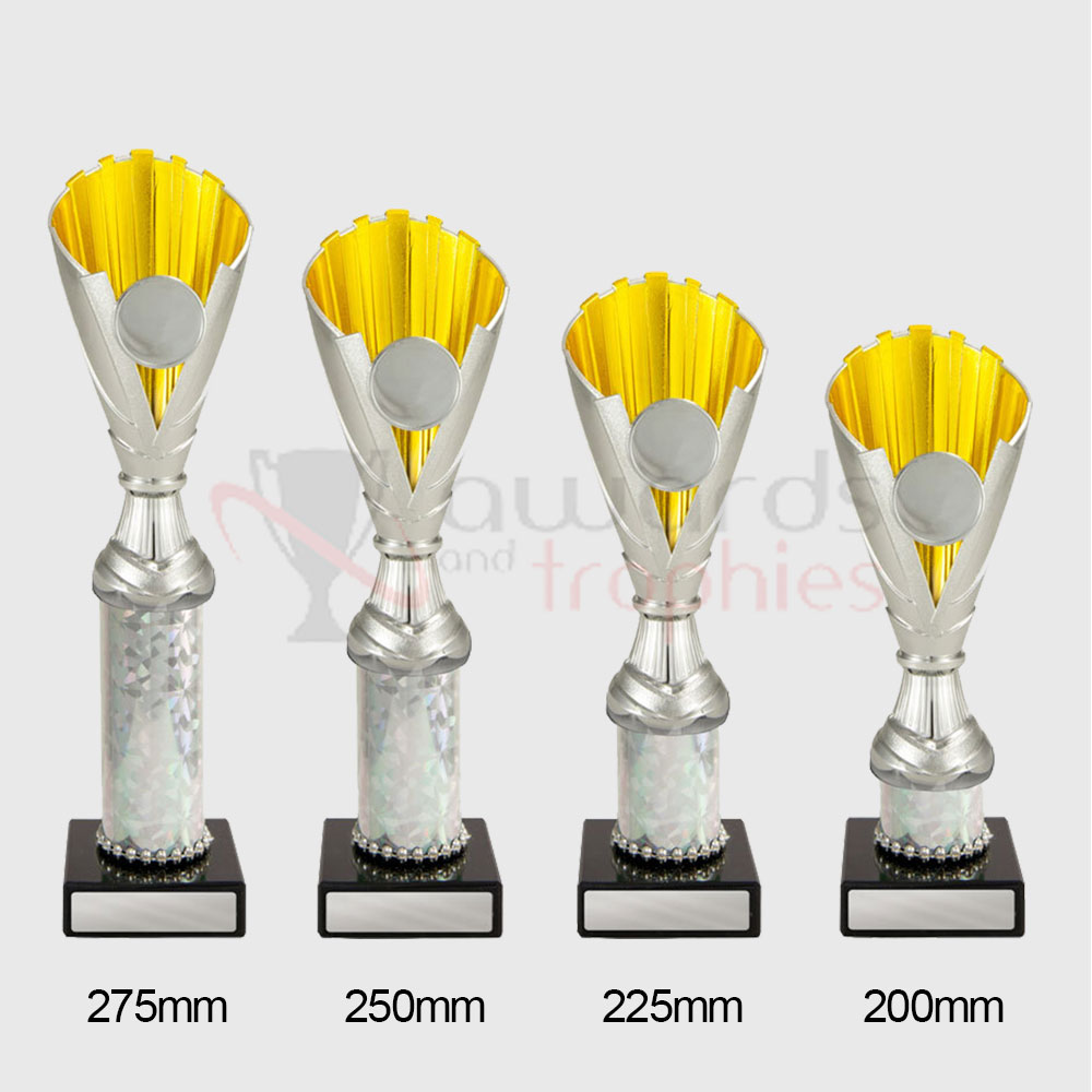 Norwich Cup Silver/Gold 250mm