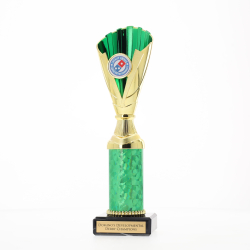 Norwich Cup Gold/Green 250mm