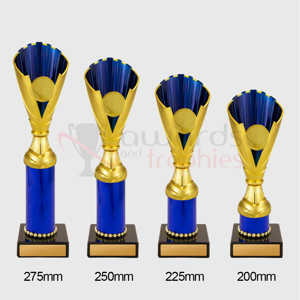 Norwich Cup Gold/Blue 250mm