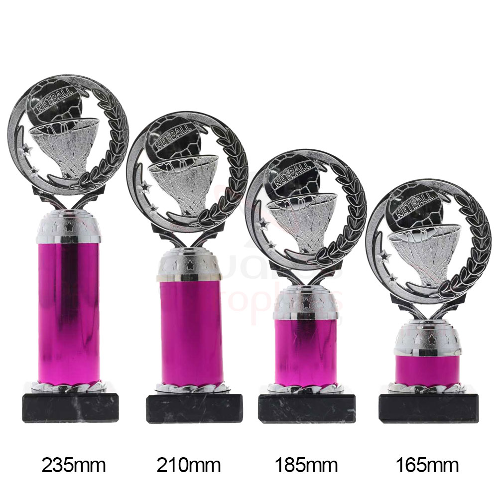 Netball Torch Silver/Pink 185mm