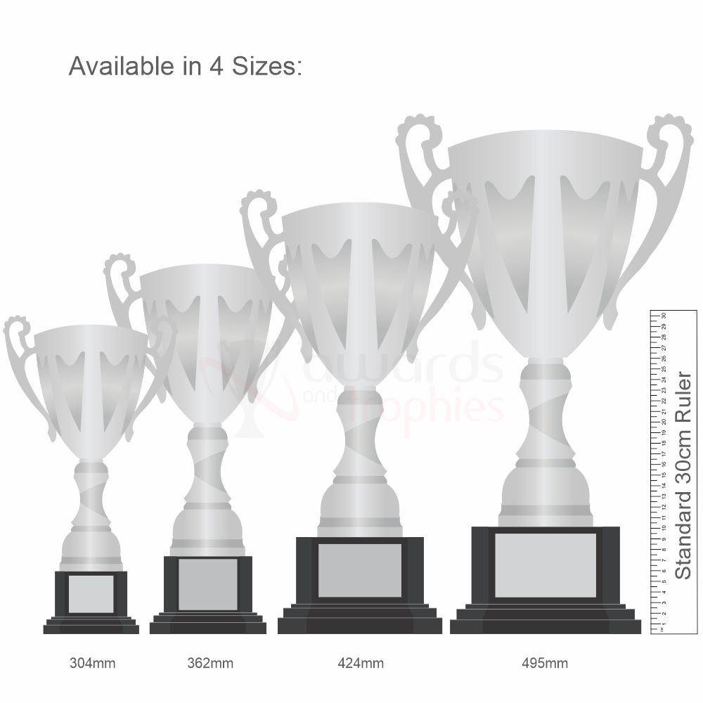 Bordeaux Cup Silver 424mm