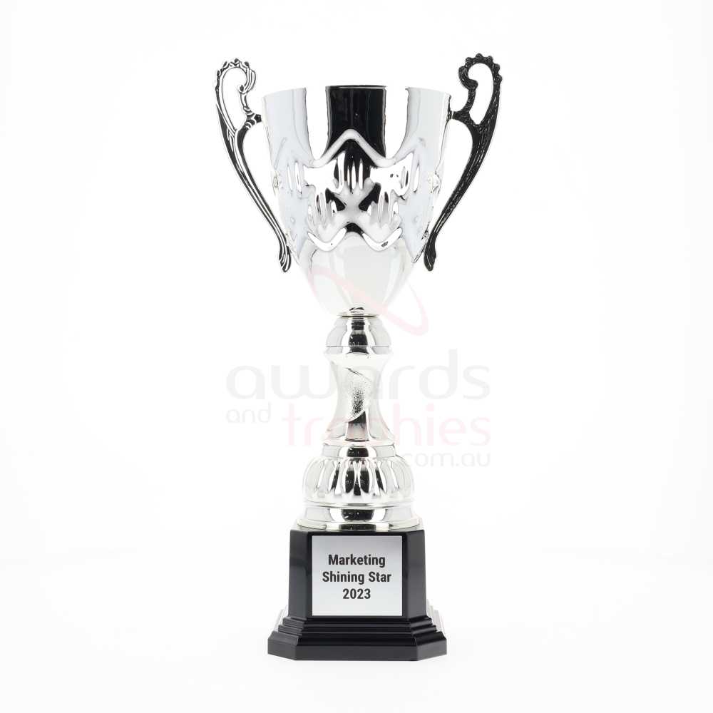 Crown Cup Silver 304mm
