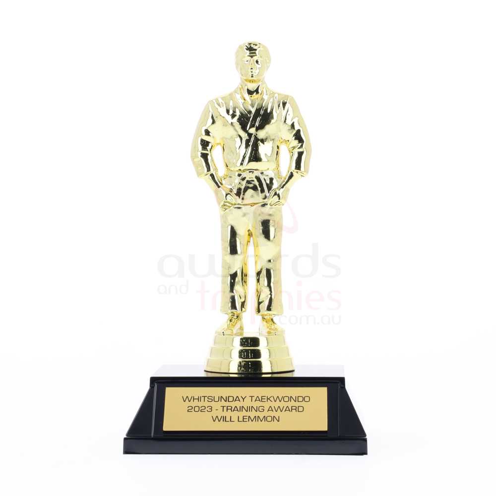 Judo Figurine on Base Male 150mm