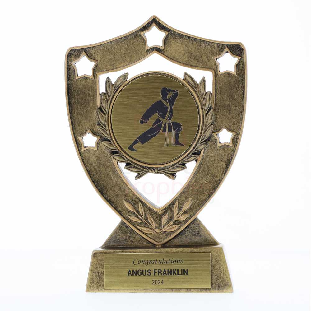 Shield 155mm - Karate
