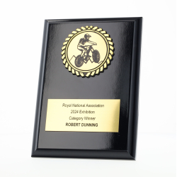 Black Plaque 150mm - Downhill MTB
