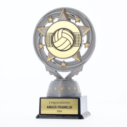 Silver Torch 150mm - Volleyball