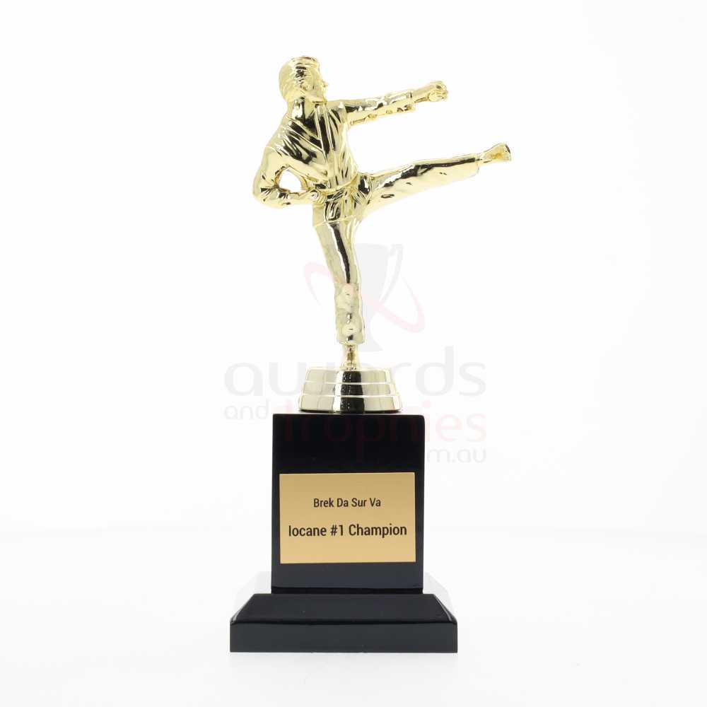 Karate Action Fig Male 200mm