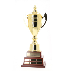 Valencia Perpetual Cup 550mm - Gold