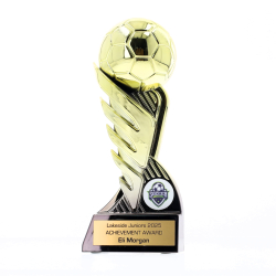 Football Pegasus 165mm - Gold
