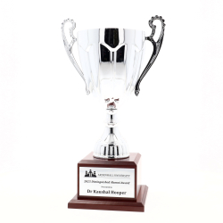 Rubicon Cup on Timber Base 265mm - Silver