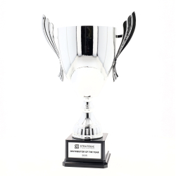 Ironside Cup 260mm - Silver
