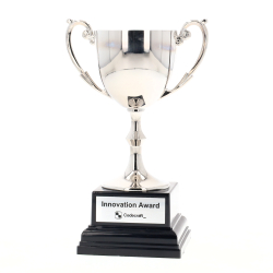 Recognition Ace Cup 145mm - Silver