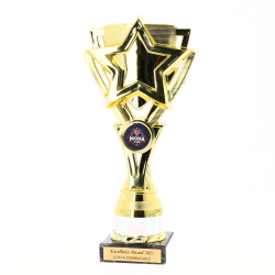 Kudos Cup 235mm - Gold/Silver