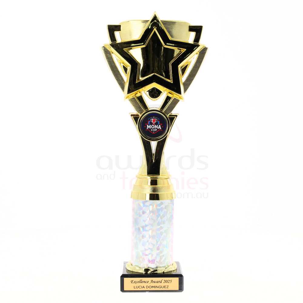 Kudos Cup 285mm - Gold/Silver