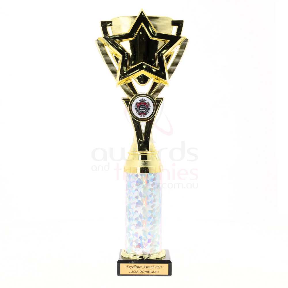 Kudos Cup 310mm - Gold/Silver