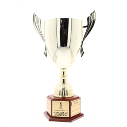 Concordia Cup Perpetual 530mm