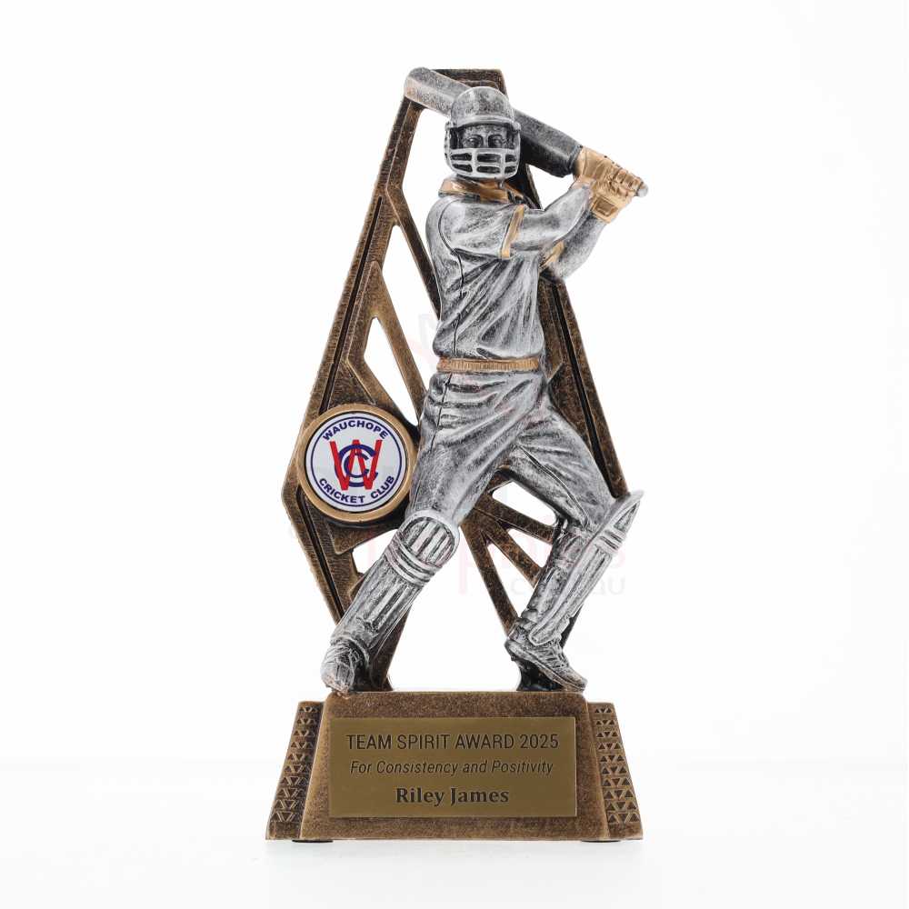 Cyber Series 155mm - Cricket Batting
