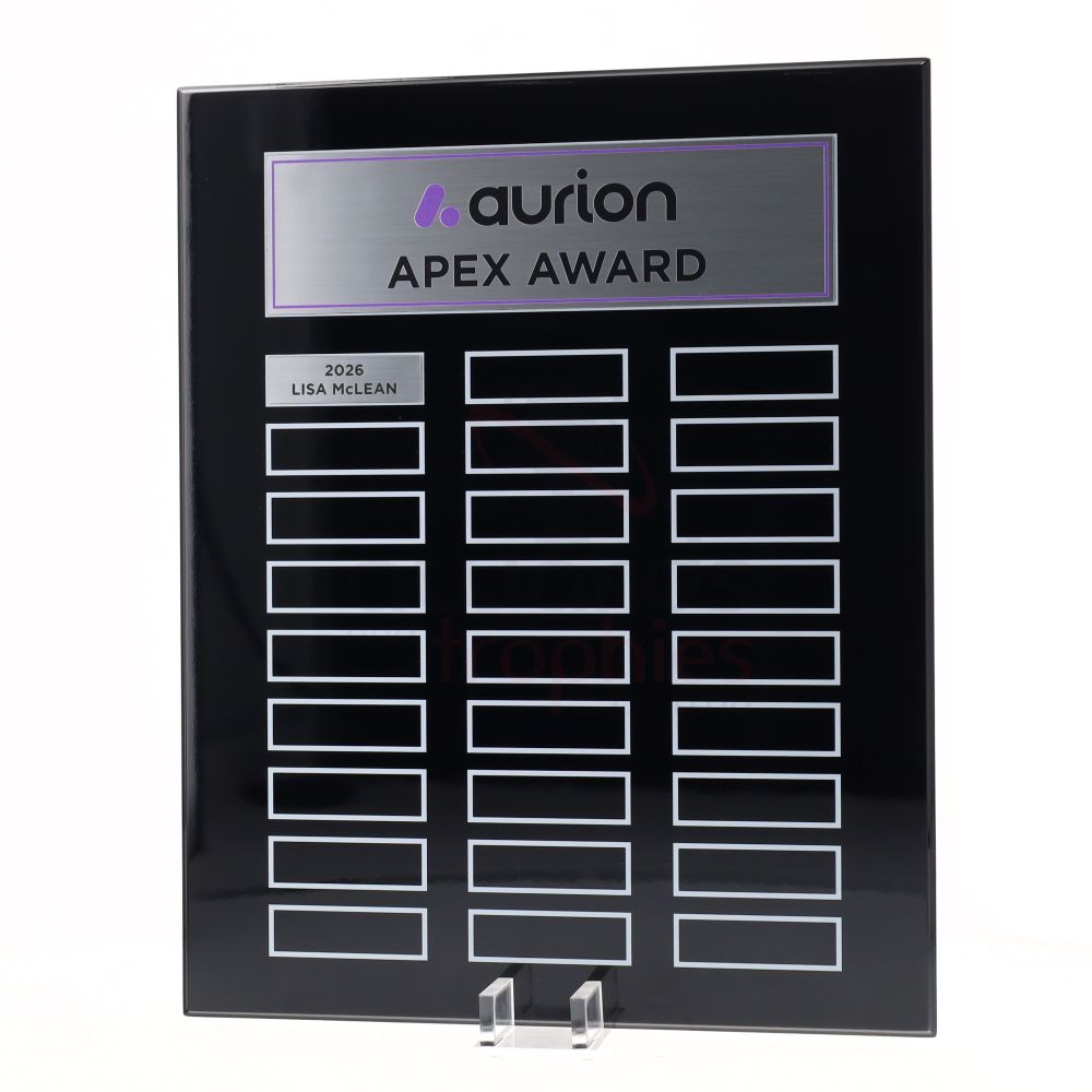 Continuity Perpetual Plaque 380mm - Black/Silver