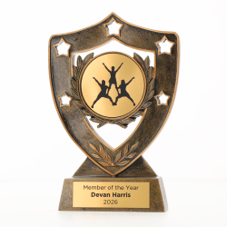 Shield 155mm - Stunting