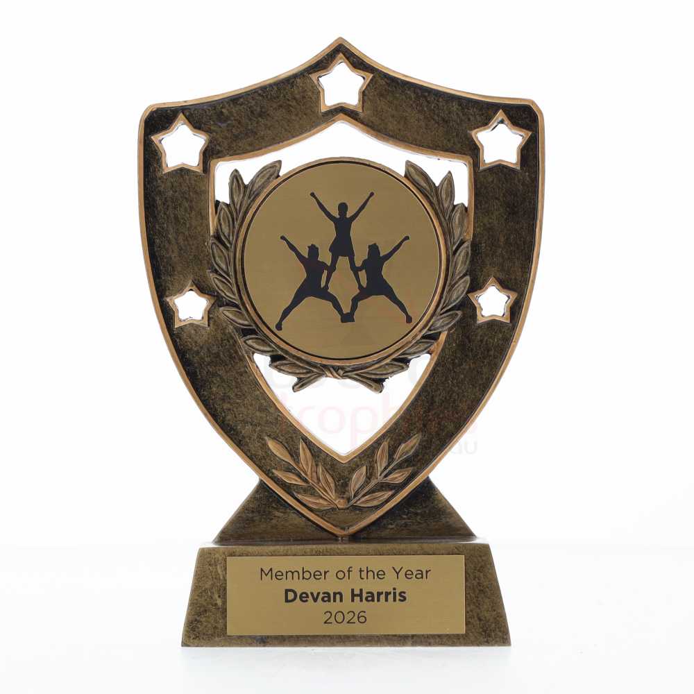 Shield 155mm - Stunting