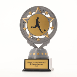 Silver Torch 150mm - Futsal