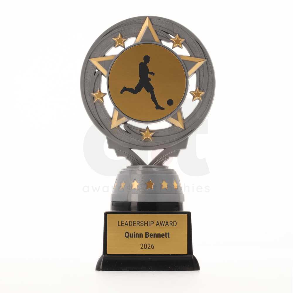 Silver Torch 165mm - Futsal