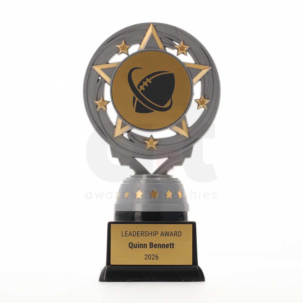 Silver Torch 165mm - Touch Football