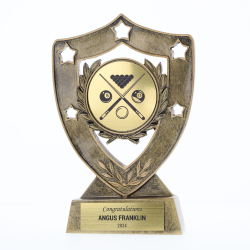 Shield - Pool/Billiards 160mm