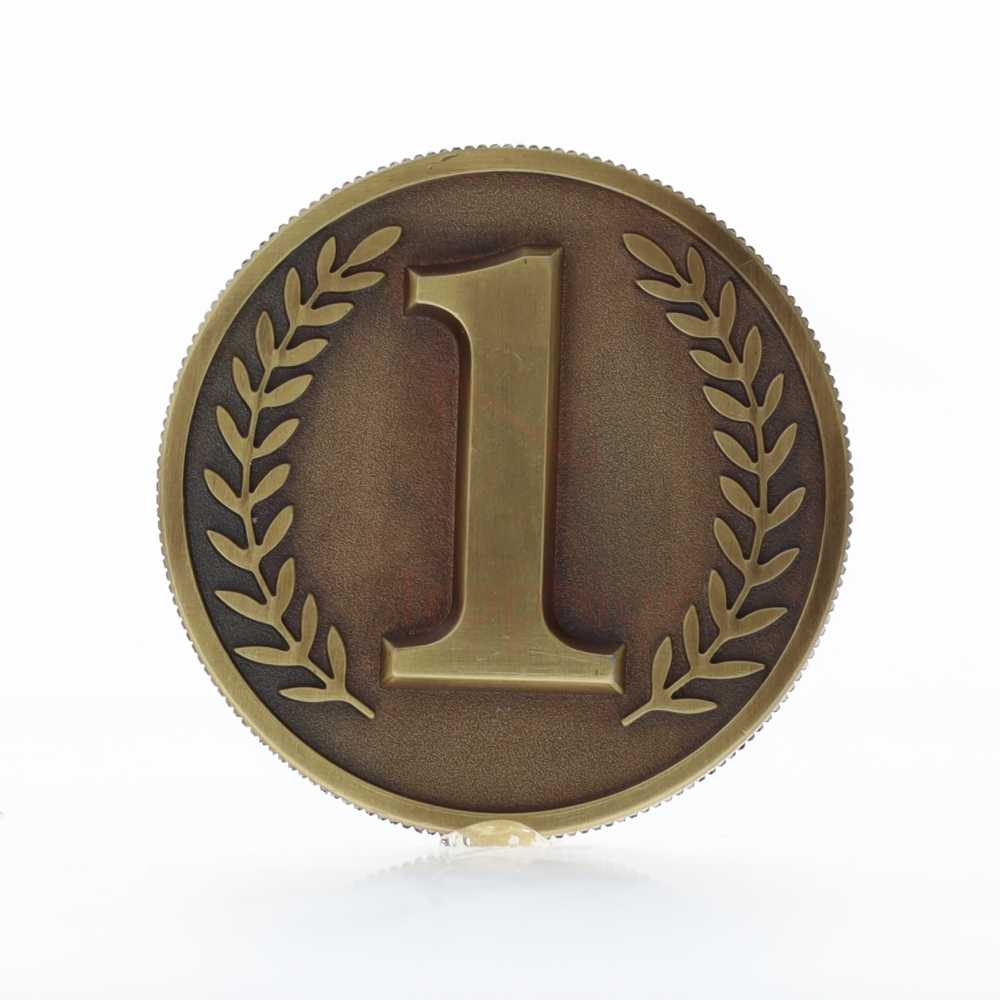 1st Place Gold Coin in Case