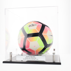 Soccer / Basketball Display Case