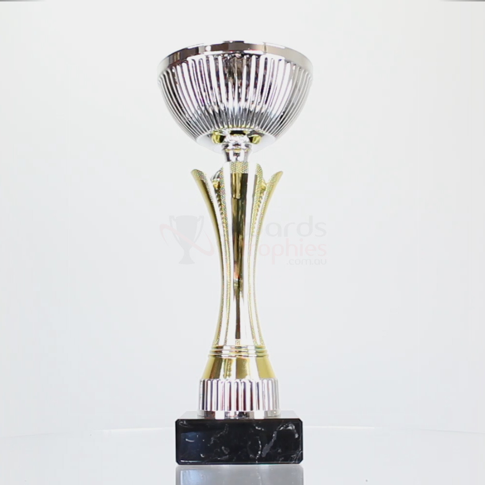 Equity Cup Gold/Silver 235mm
