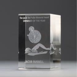3D Swimming Crystal Block 80mm
