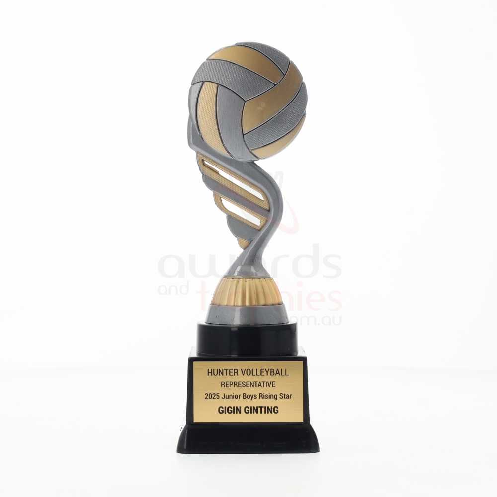 Silver Volleyball Theme on Black Base 175mm 